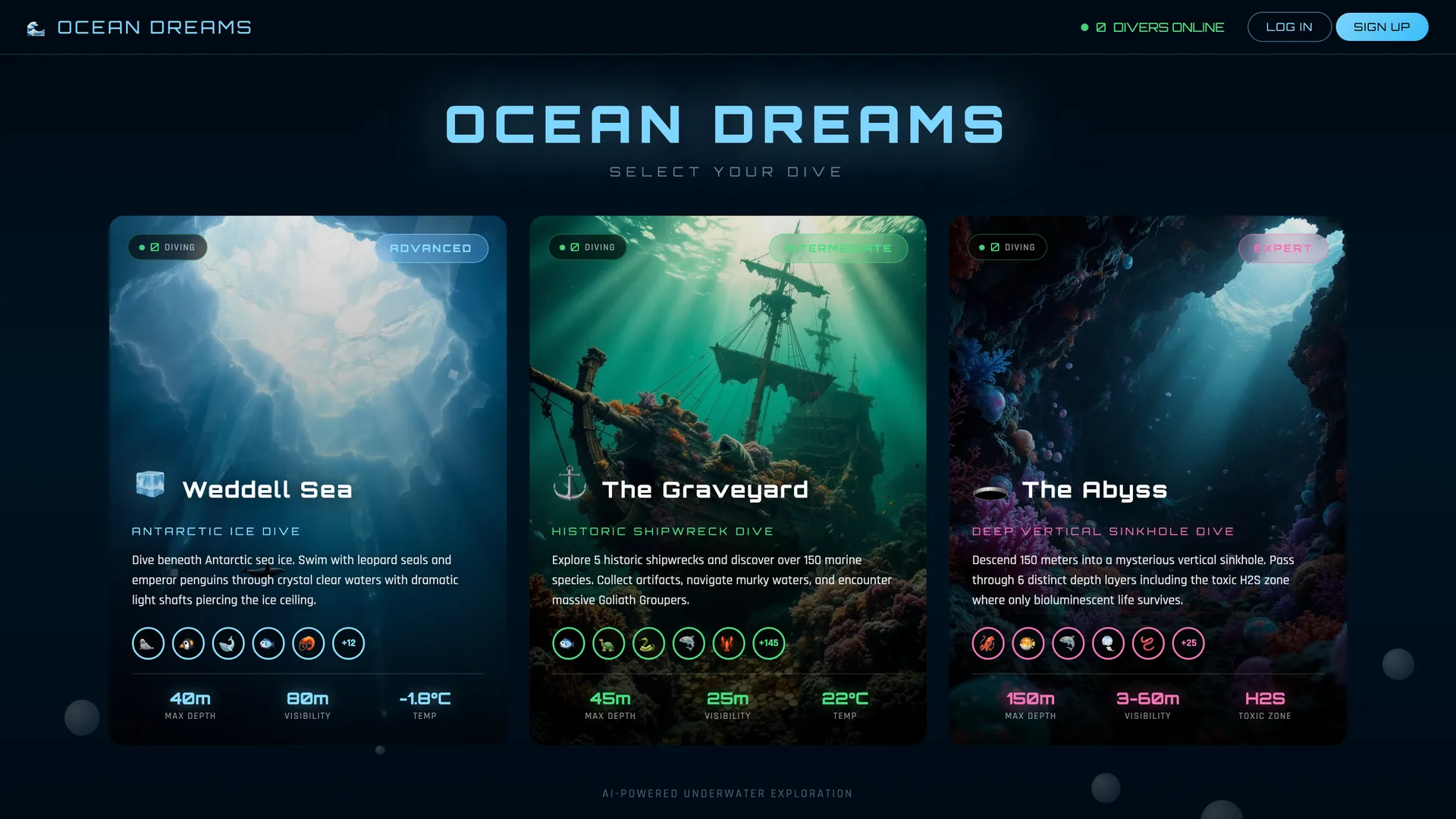 Ocean Dreams