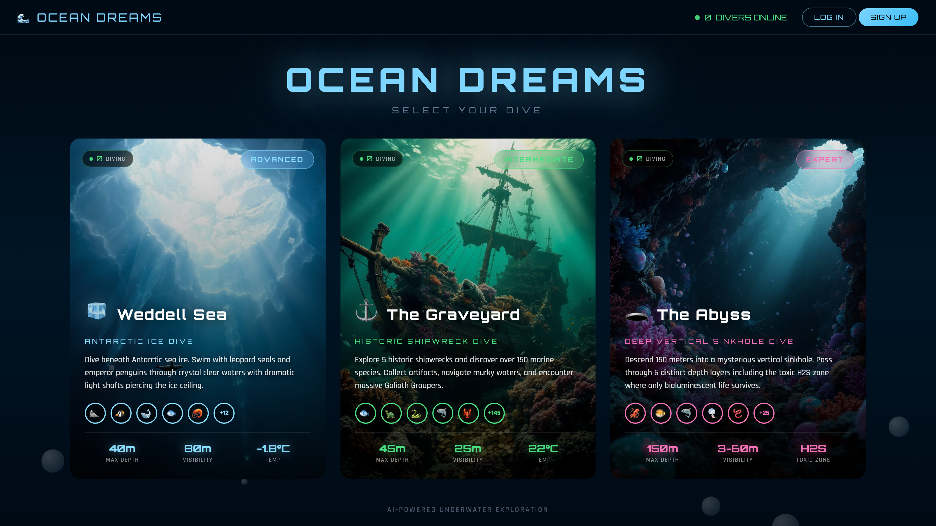 Ocean Dreams